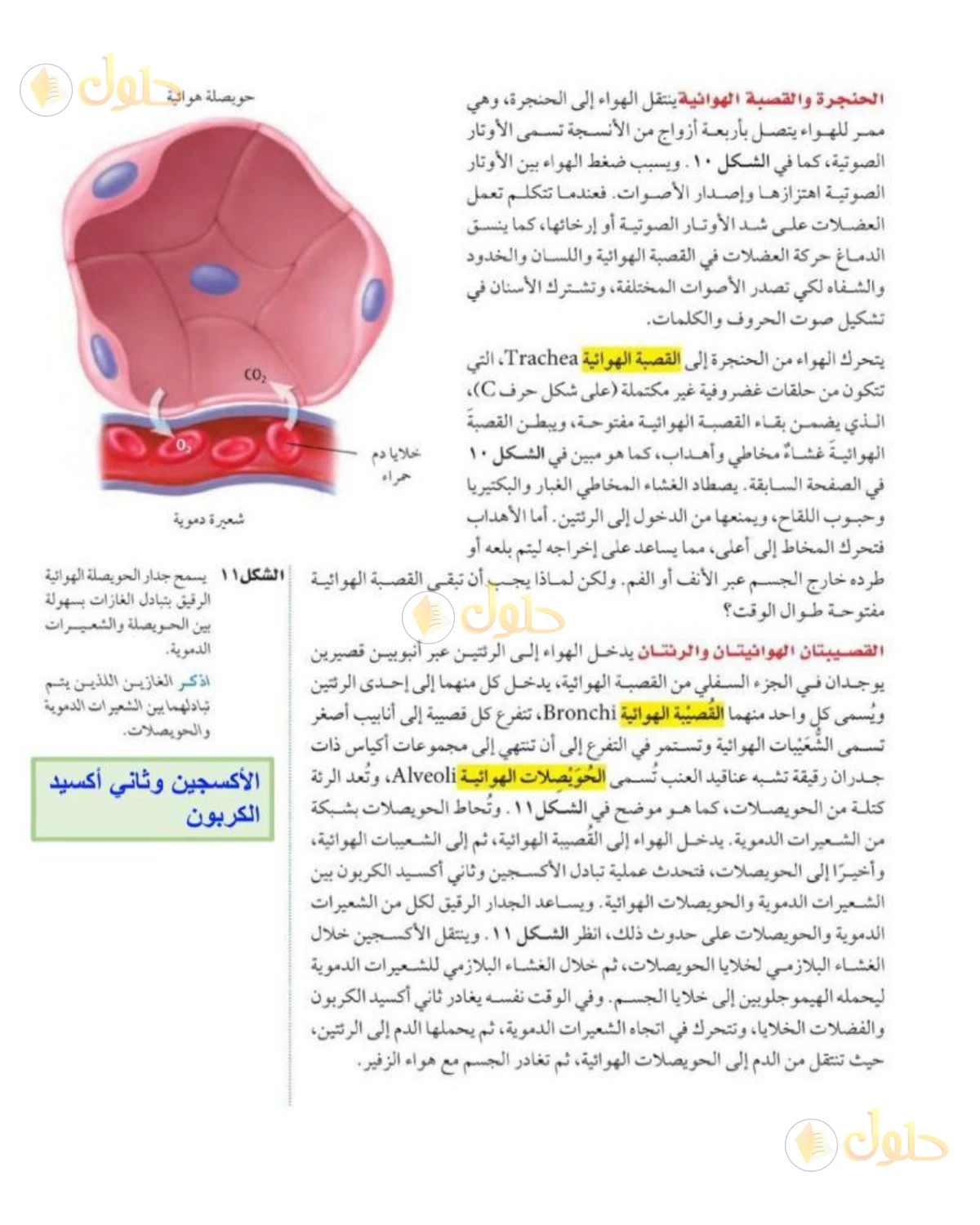 حل علوم الصف الثاني المتوسط صفحة 176 الجزء 2