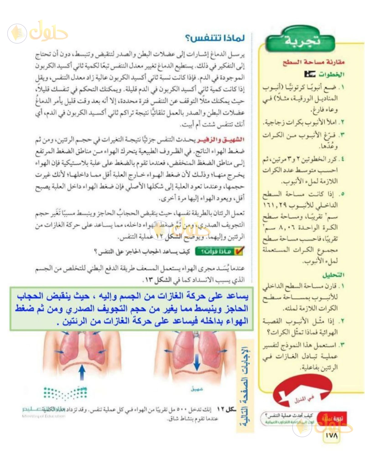 حل علوم الصف الثاني المتوسط صفحة 177 الجزء 1