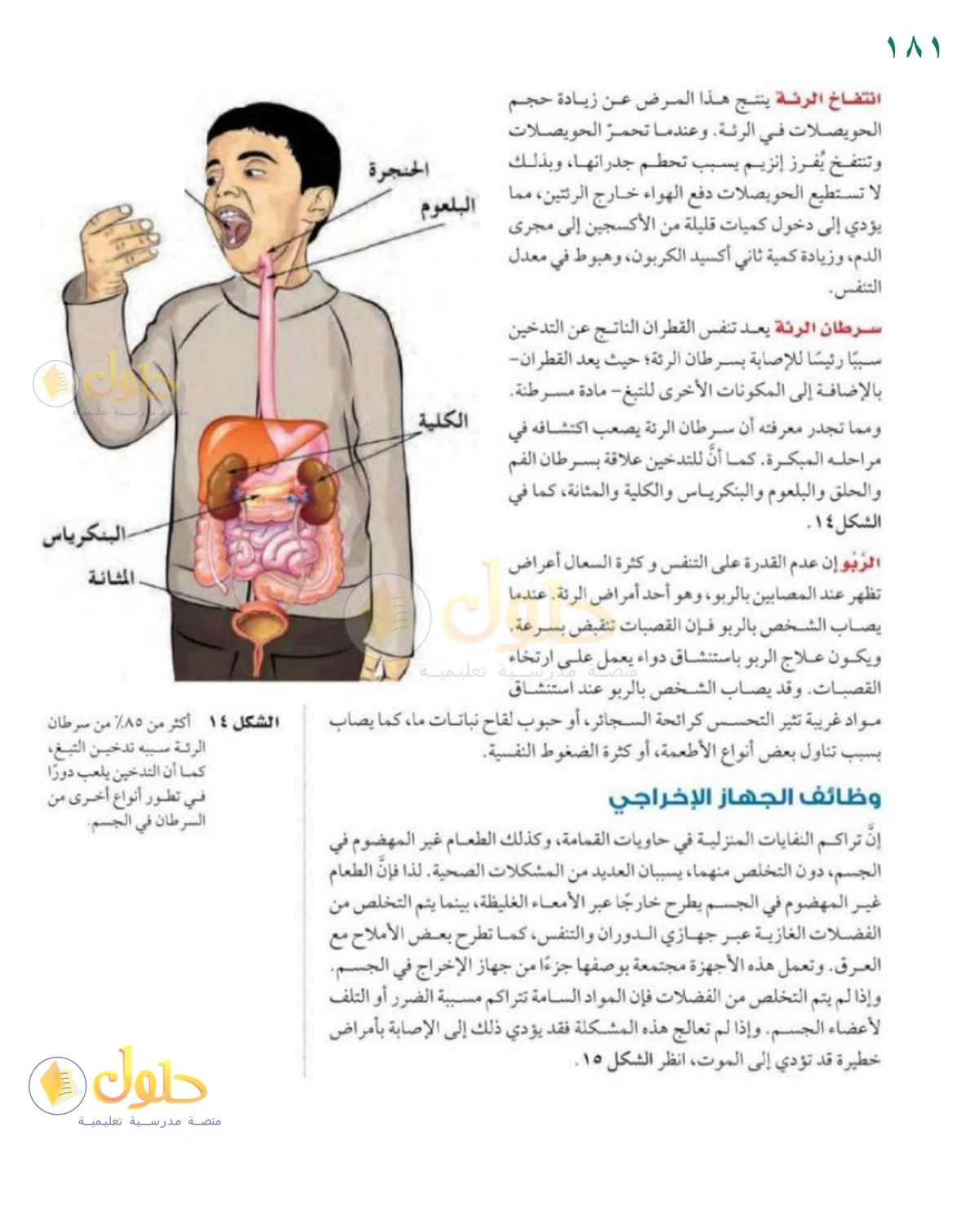 حل العلوم للصف الثاني المتوسط صفحة 181