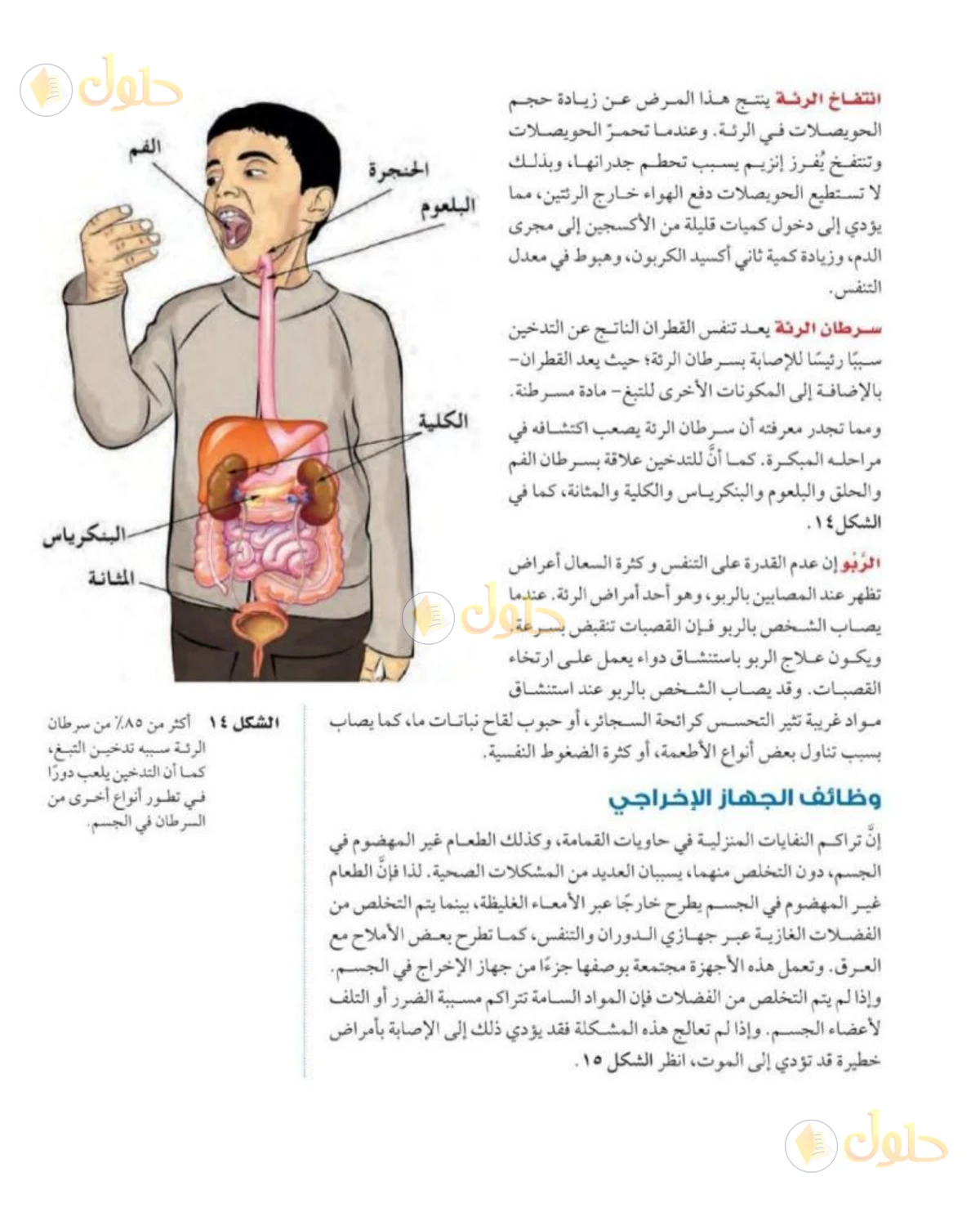 حل علوم الصف الثاني المتوسط صفحة 182 الجزء 1