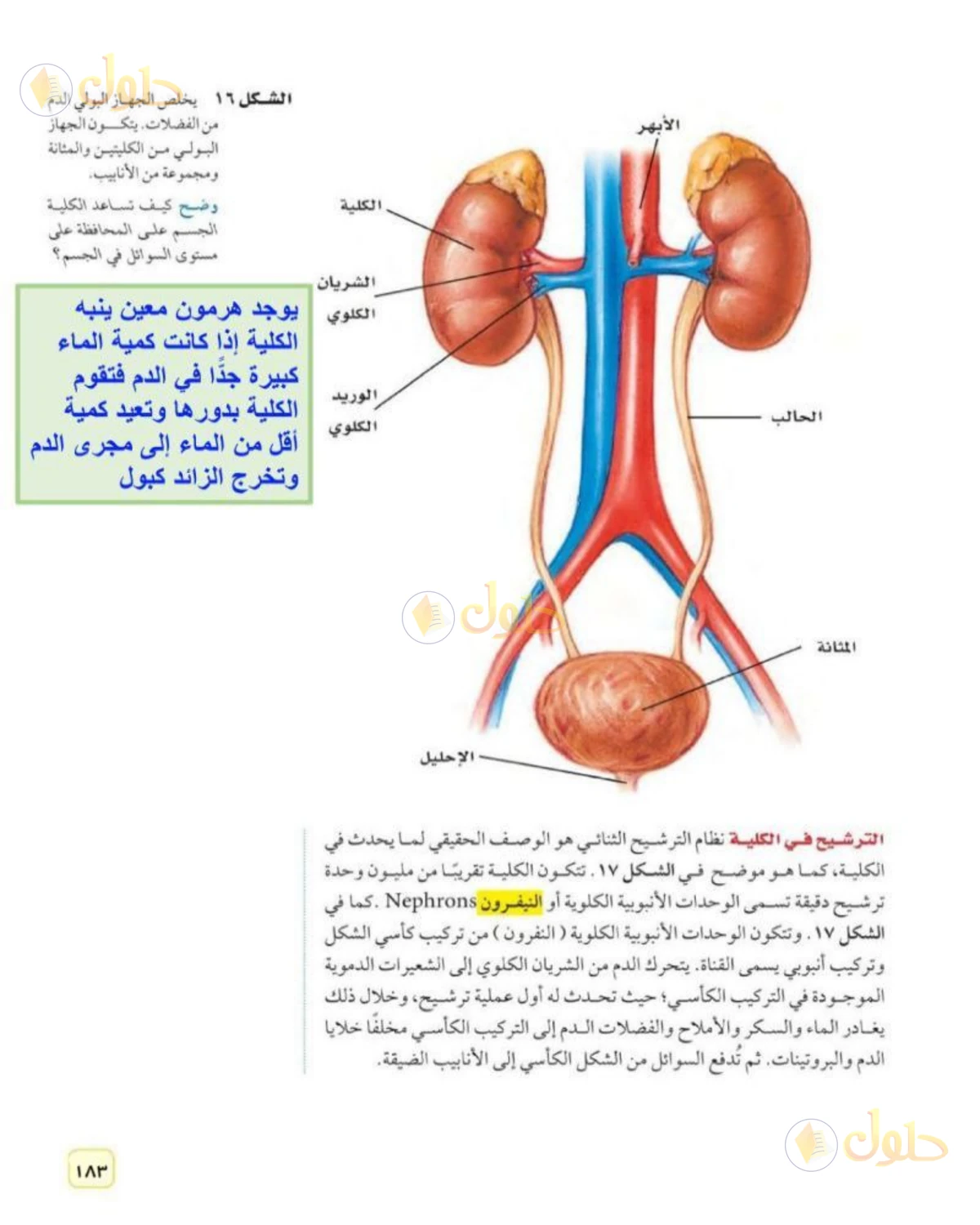 حل علوم الصف الثاني المتوسط صفحة 183 الجزء 2
