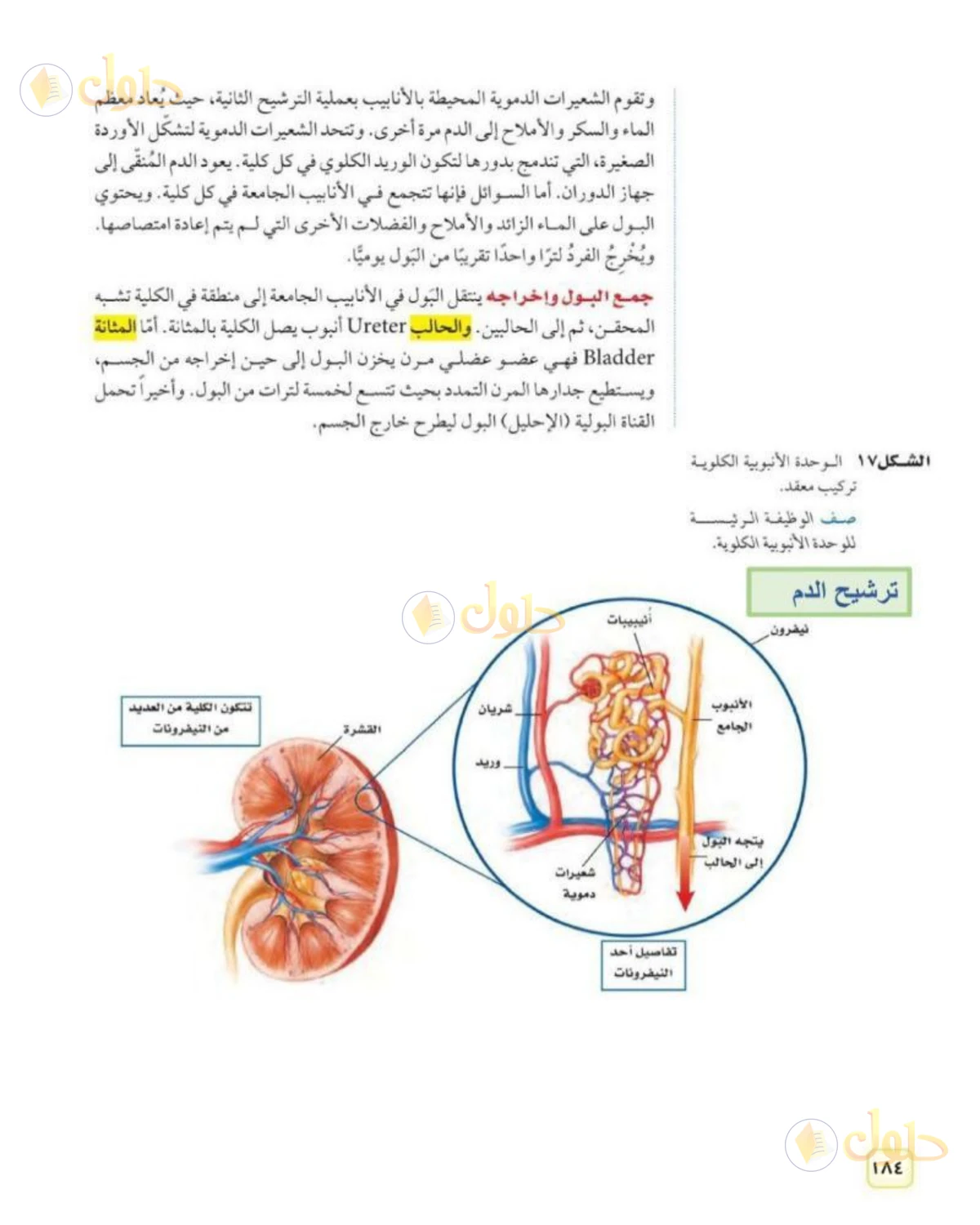 حل علوم الصف الثاني المتوسط صفحة 184 الجزء 1