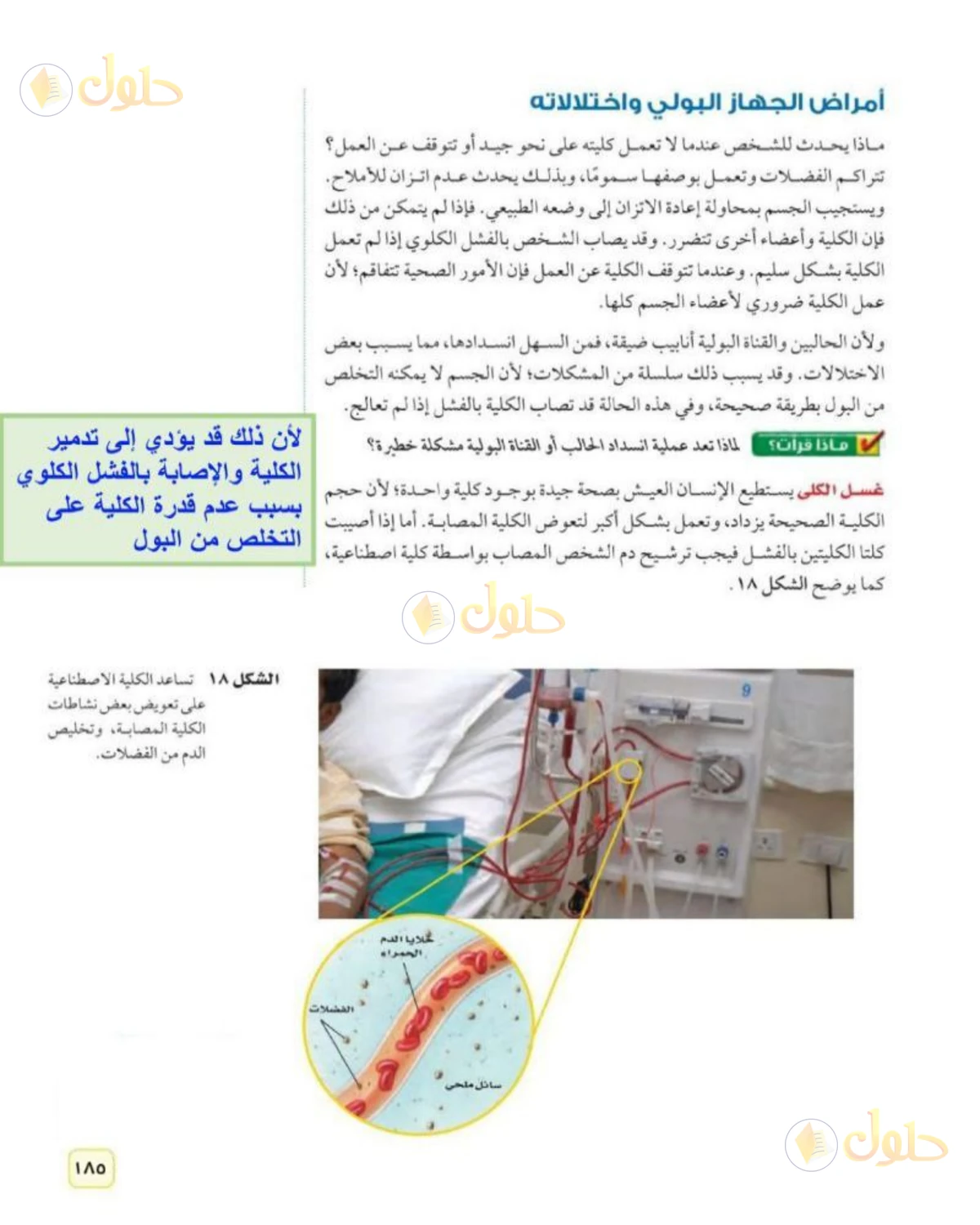 حل علوم الصف الثاني المتوسط صفحة 185 الجزء 1