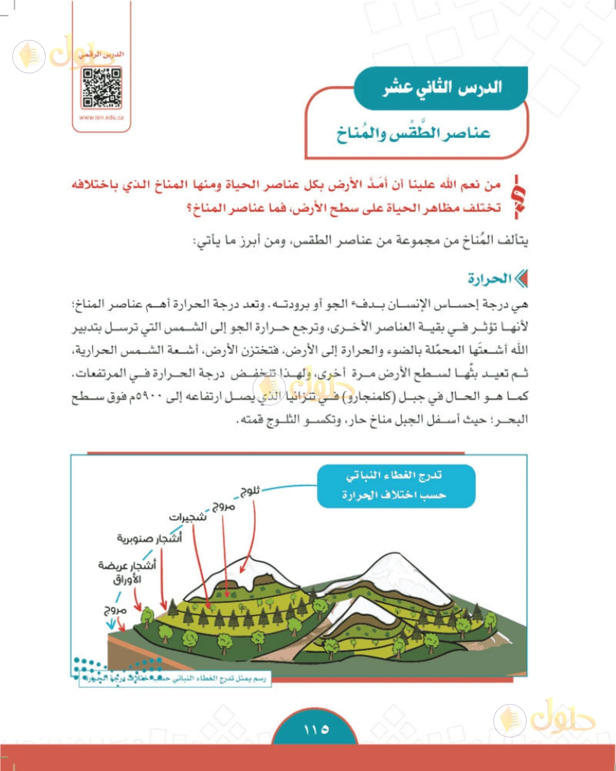حل الدراسات الاجتماعية للصف الثاني المتوسط صفحة 115