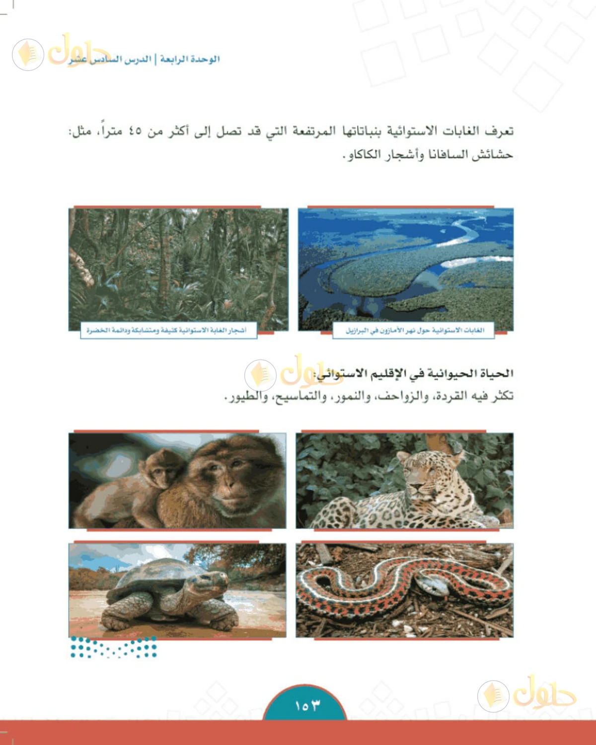 حل الدراسات الاجتماعية للصف الثاني المتوسط صفحة 153