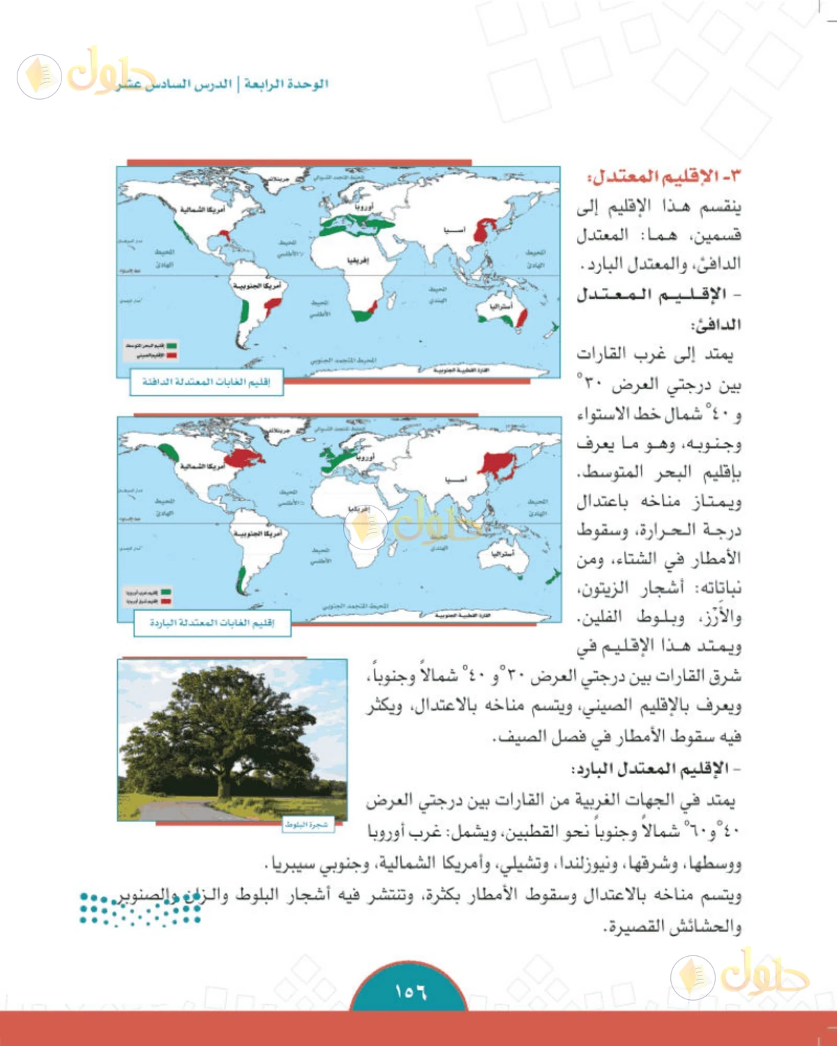 حل الدراسات الاجتماعية للصف الثاني المتوسط صفحة 156