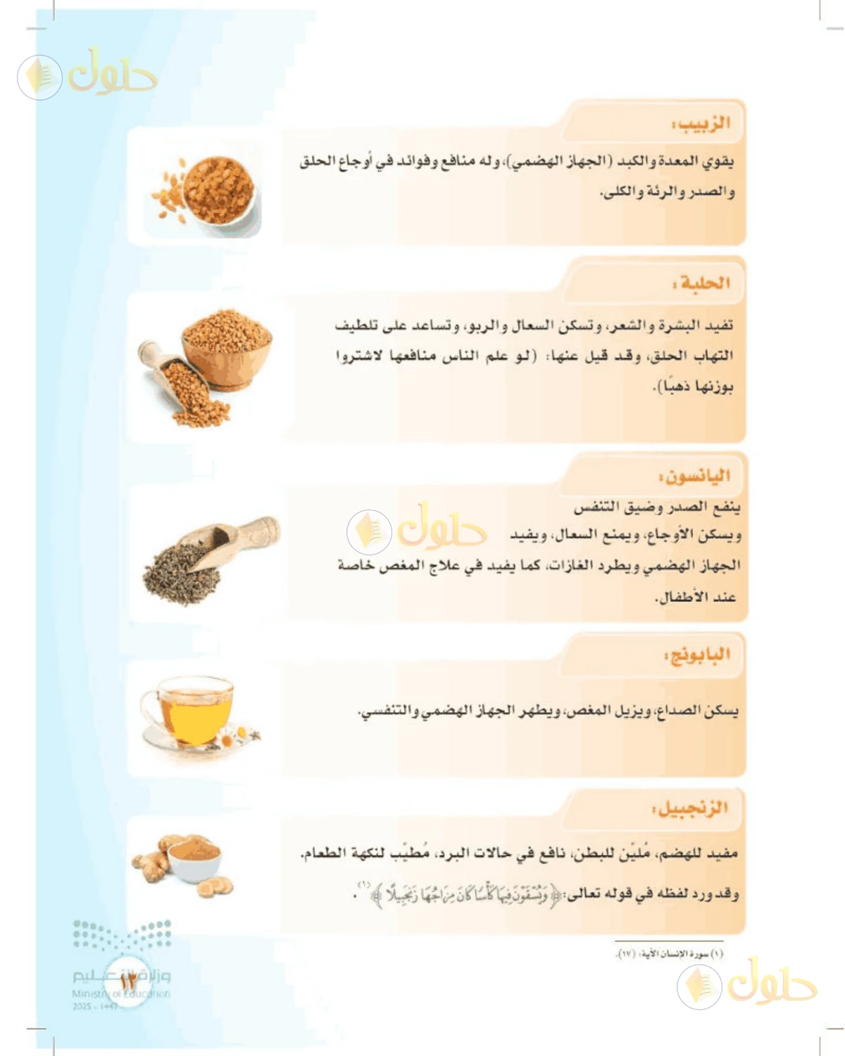 حل المهارات الحياتية والأسرية للصف الثالث المتوسط صفحة 13