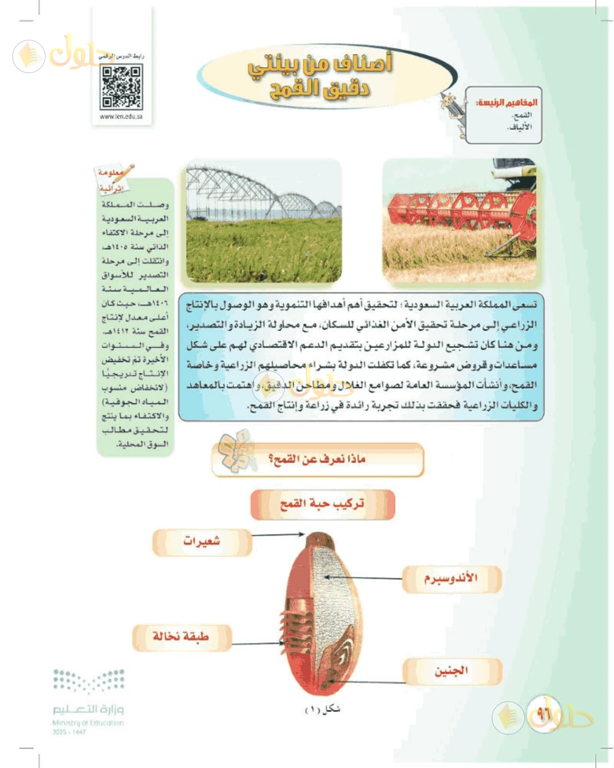 حل المهارات الحياتية والأسرية للصف الثالث المتوسط صفحة 96