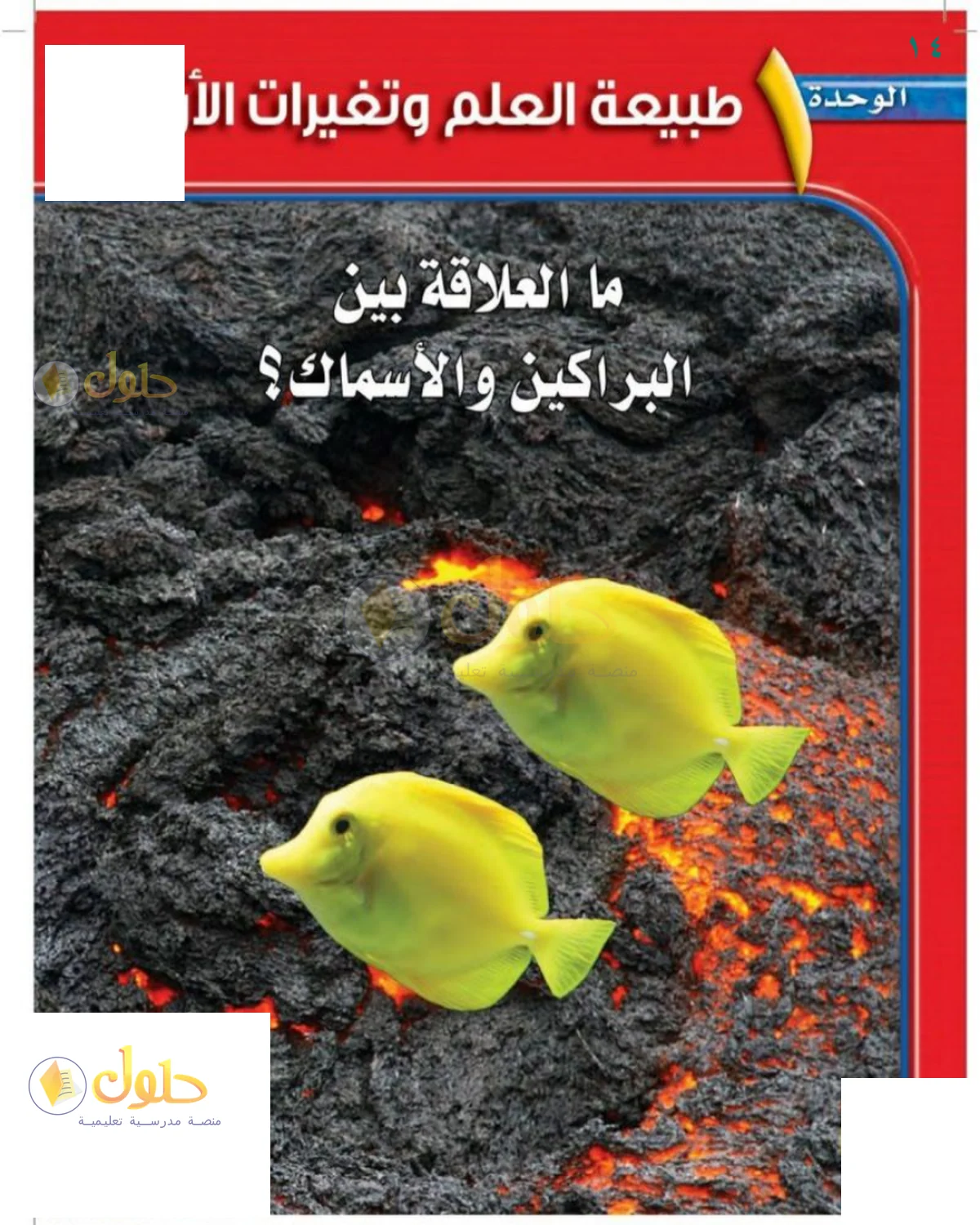 حل العلوم للصف الثالث المتوسط صفحة 14