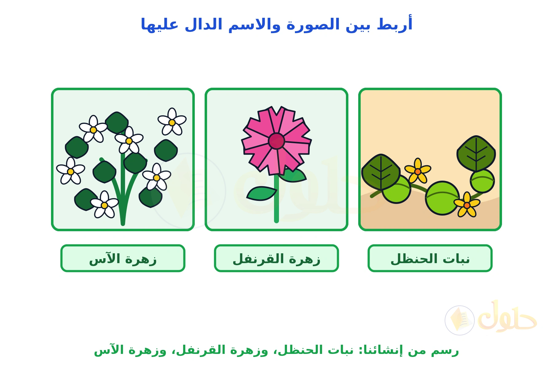 ثلاث لوحات نباتية: الحنظل على الرمل، وزهرة القرنفل الوردية، وأزهار الآس البيضاء، وتحت كل لوحة اسمها