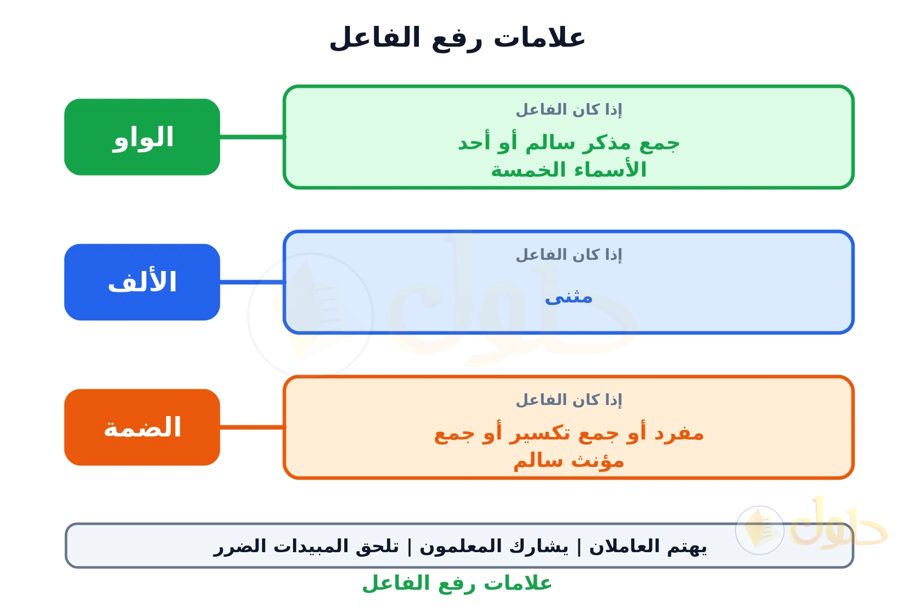 ثلاثة صفوف: صف أخضر فيه أن الفاعل إذا كان جمع مذكر سالم أو أحد الأسماء الخمسة فعلامته الواو، وصف أزرق فيه أنه إذا كان مثنى فعلامته الألف، وصف برتقالي فيه أنه إذا كان مفردًا أو جمع تكسير أو جمع مؤنث سالم فعلامته الضمة، وأسفلها شريط أمثلة