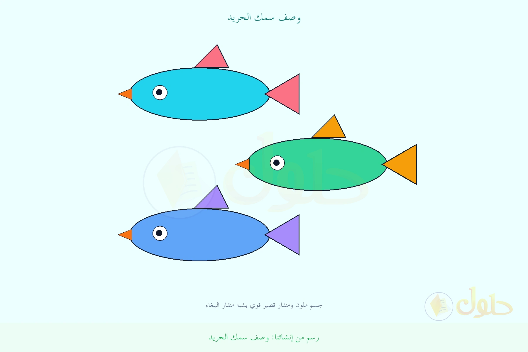 رسم تعليمي لسمك الحريد بجسم ملون ومنقار قصير