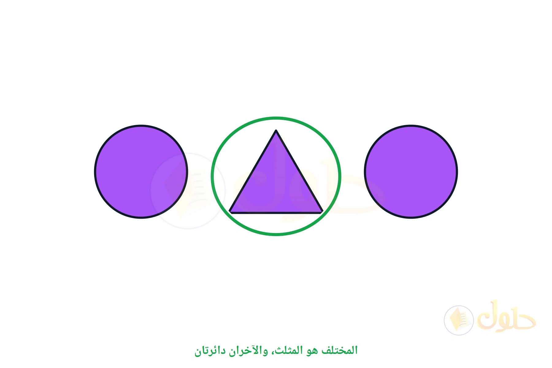 دائرة ومثلث ودائرة، والمثلث محوط لأنه المختلف
