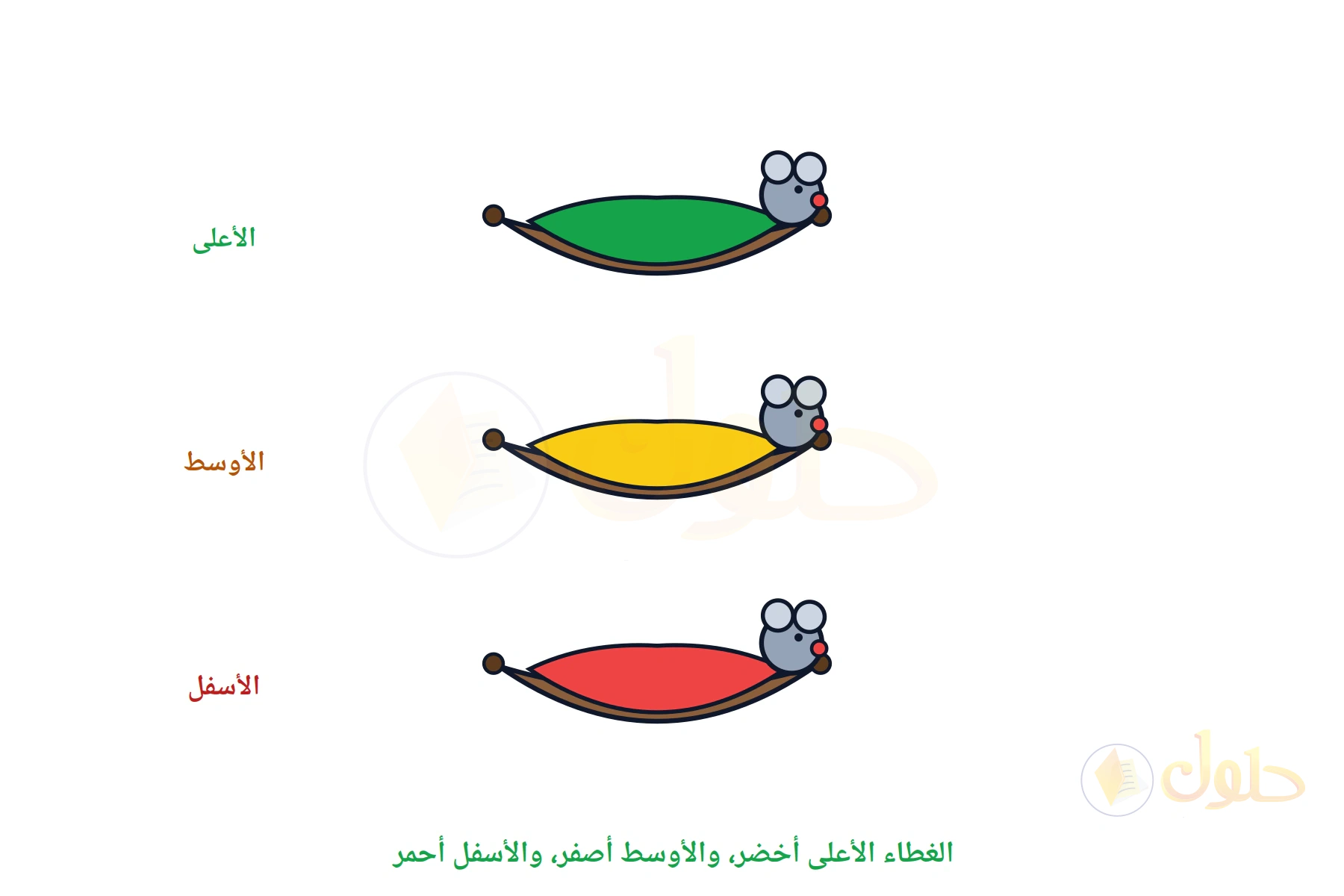 ثلاثة أسرة معلقة، غطاء الأعلى أخضر والأوسط أصفر والأسفل أحمر