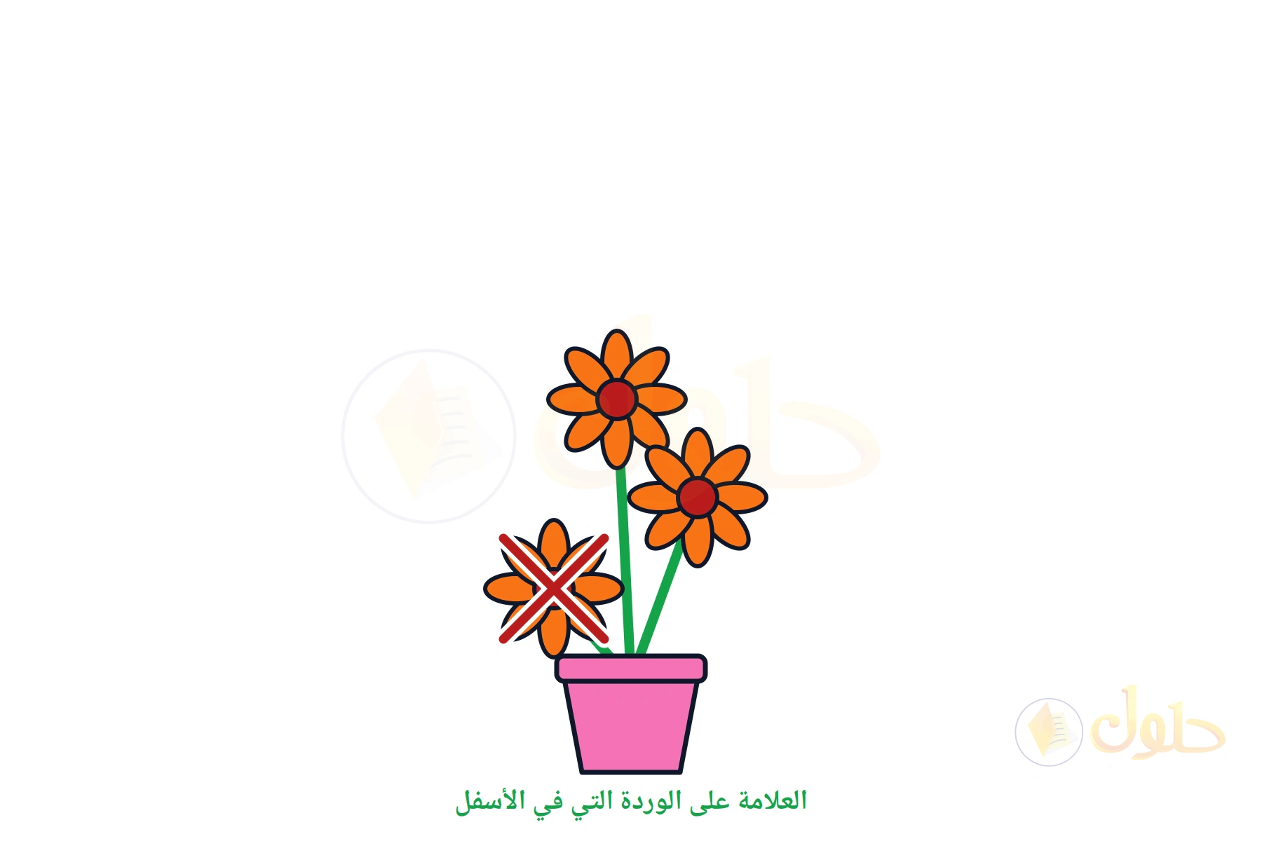 أصيص بثلاث وردات وعلى الوردة السفلى علامة