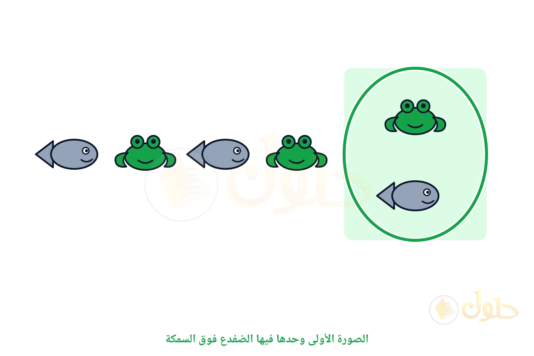 ثلاث صور لضفدع وسمكة، والصورة التي فيها الضفدع فوق السمكة مظللة
