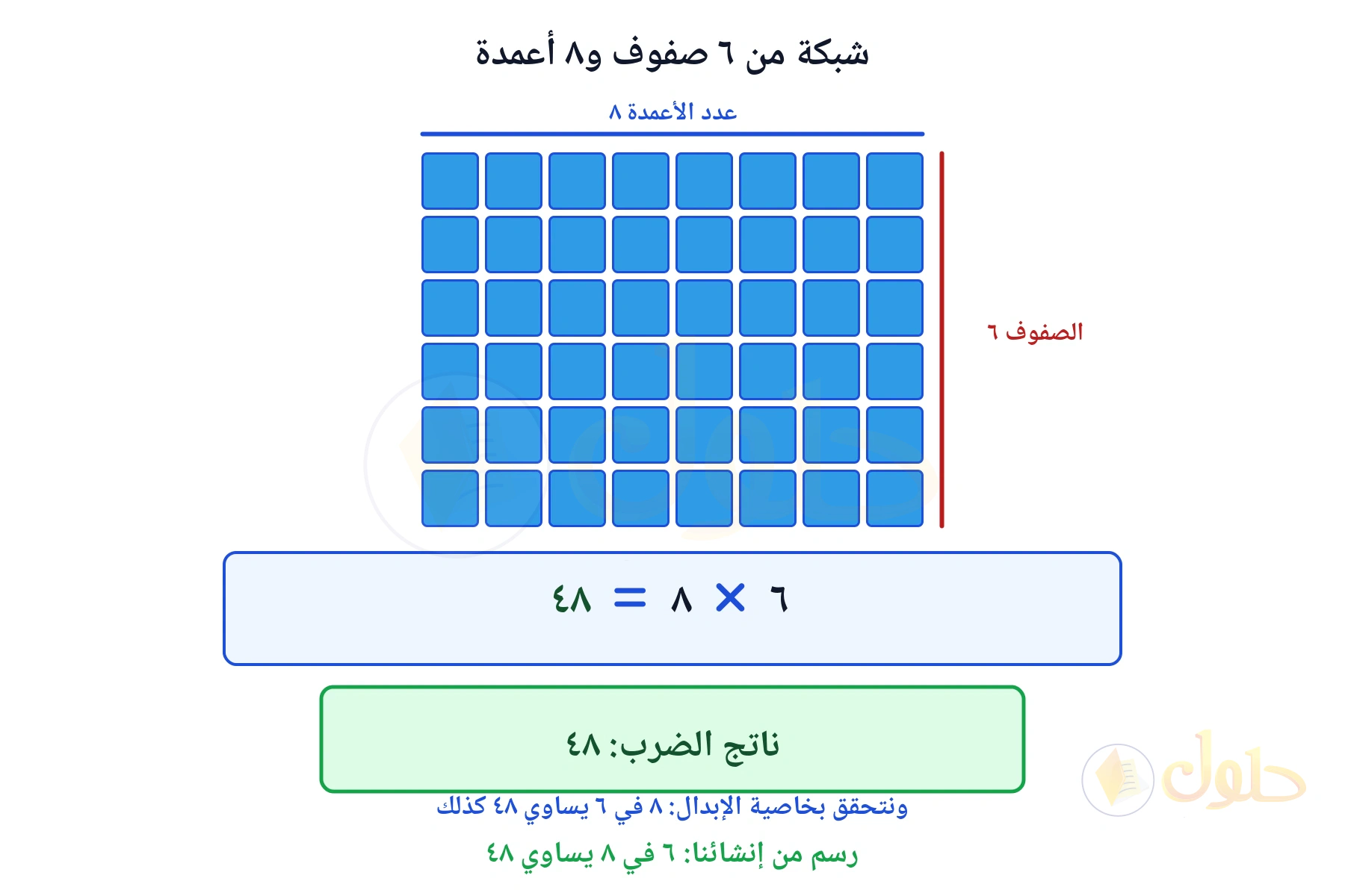 شبكة تبين أن ٦ في ٨ يساوي ٤٨
