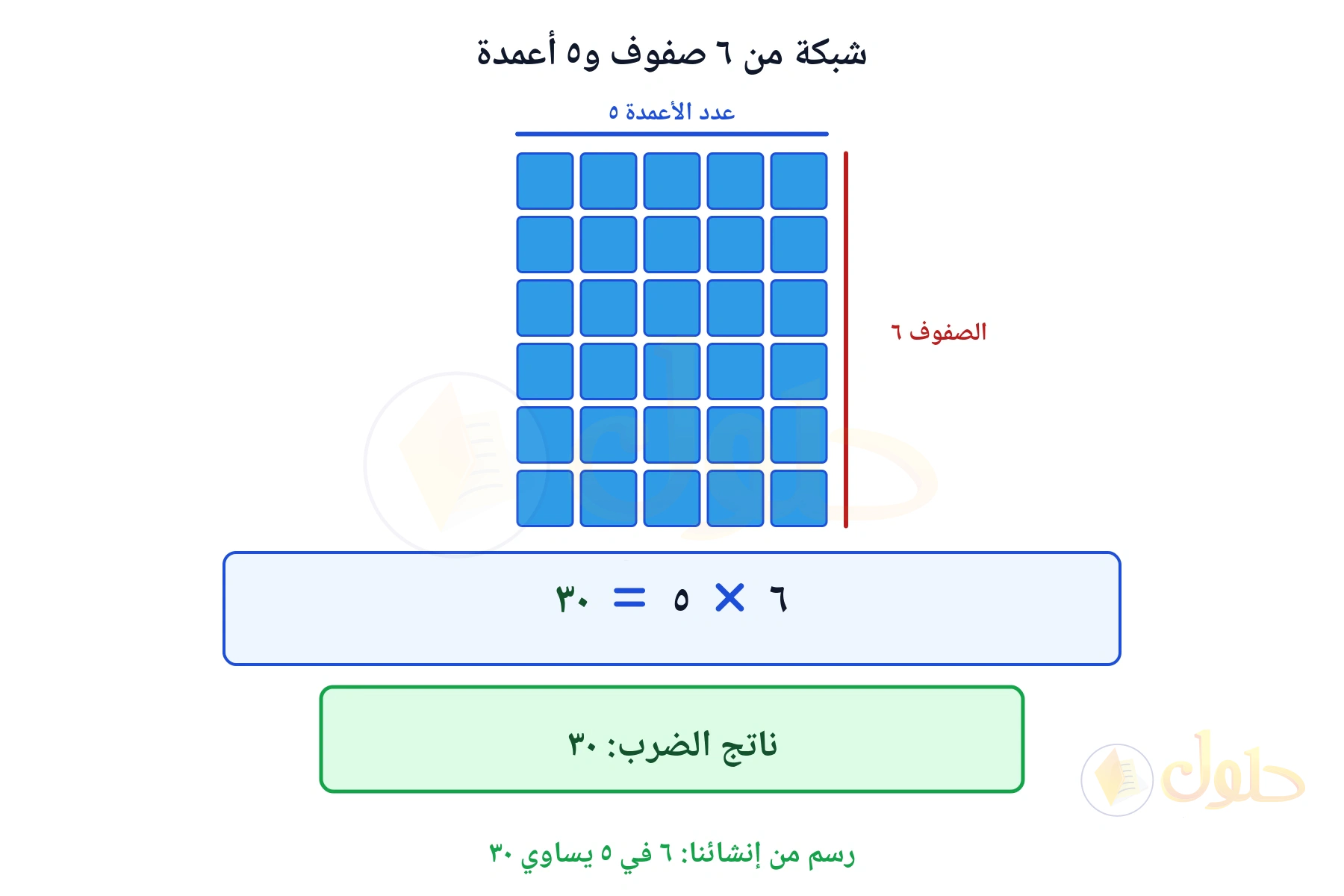 شبكة تبين أن ٦ في ٥ يساوي ٣٠