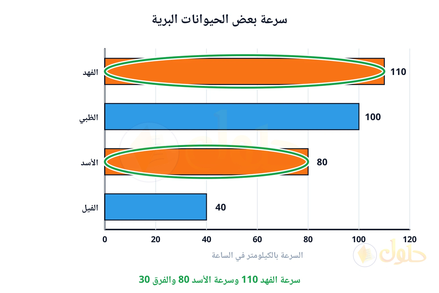 سرعة الفهد 110 وسرعة الأسد 80 والفرق 30