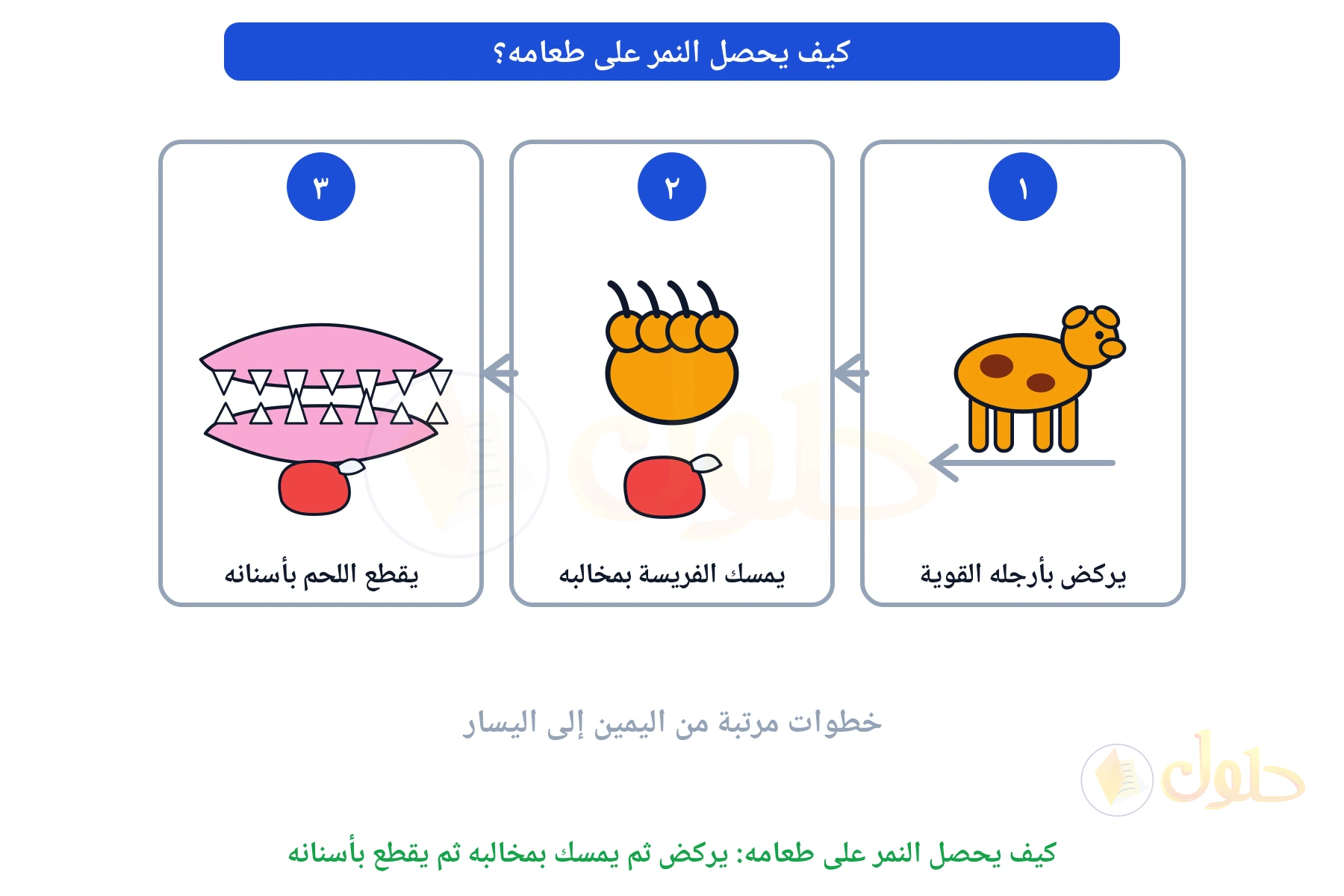 ثلاث بطاقات مرتبة من اليمين إلى اليسار: النمر يركض ثم مخلب يمسك اللحم ثم فك بأسنان حادة يقطعه