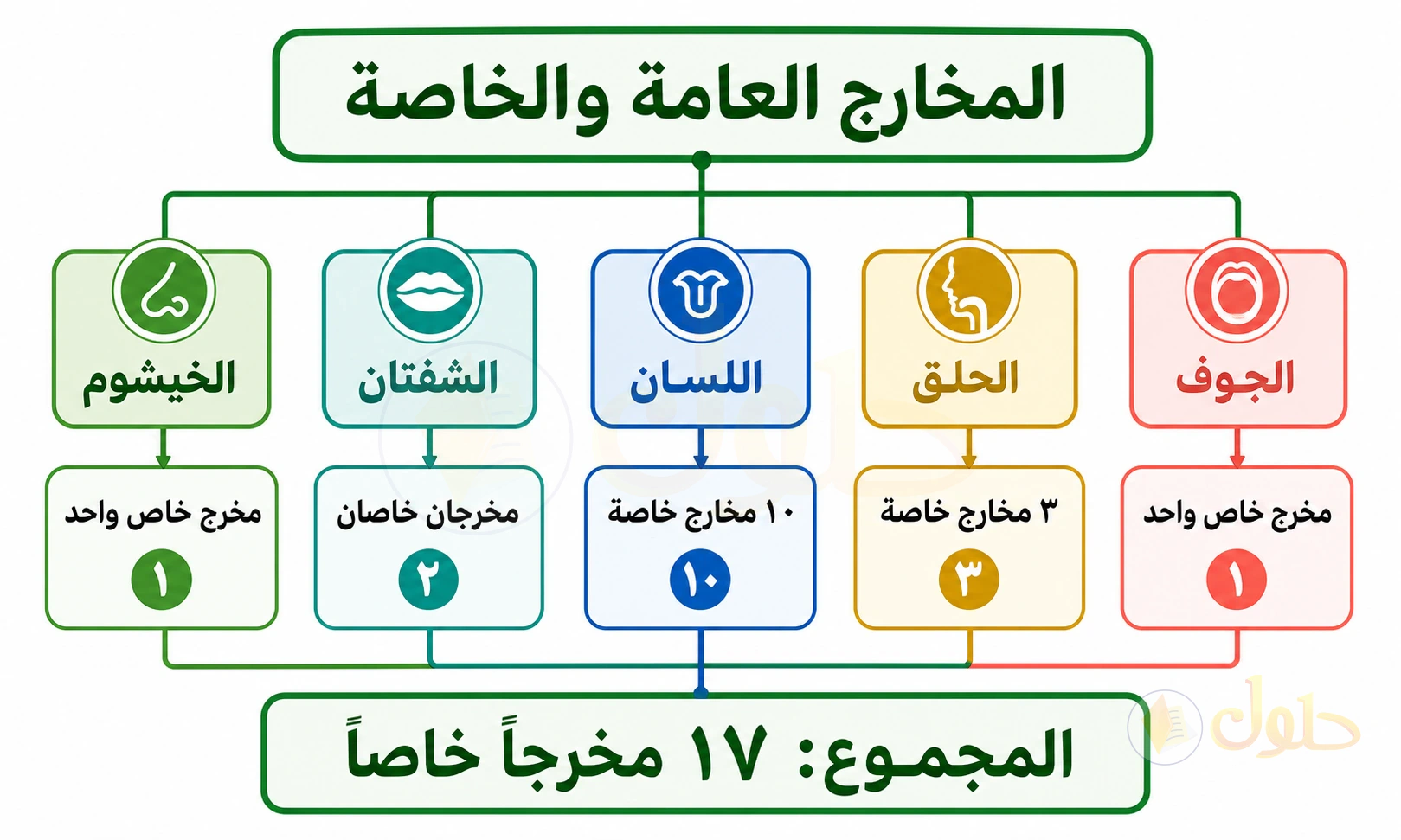 خريطة تعليمية أصلية للمخارج العامة الخمسة وعدد مخارجها الخاصة ومجموعها سبعة عشر مخرجًا